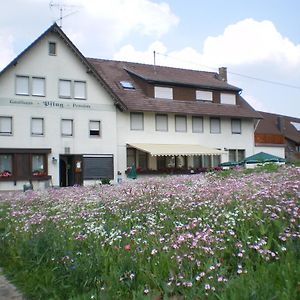 Gasthaus Pflug Bed and Breakfast Gemeinde Gemeinde Aichhalden Exterior photo