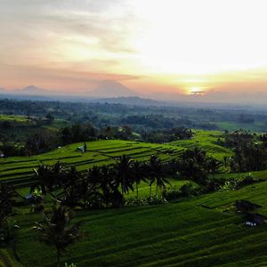 Bhuana Agung Villa And Restaurant Jatiluwih Exterior photo