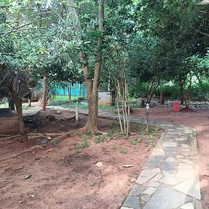 Purityguesthouse Auroville Exterior photo