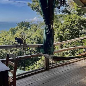 Beautiful Rustic Treehouse Hotel Manuel Antonio Quepos Exterior photo