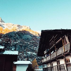 Casalpina Cozy Chalet Appartement Gressoney-la-Trinité Exterior photo