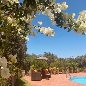 Villa Apollonia - Blissful Garden Paradise With Pool Nestled In Nature Essaouira Exterior photo