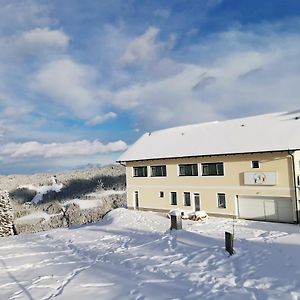 Gaestehaus Hebalm, Family & Friends Auf 900 M2 Wohnflaeche Erleben, Alleinnutzung Moeglich Pack Exterior photo