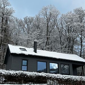 Hercynia Lodge Bad Lauterberg Exterior photo