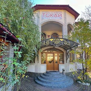 Вілла Токай Hotel Rachiv Exterior photo