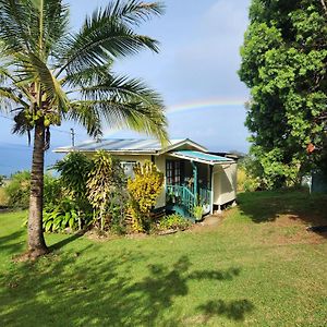 Sunrise Farm Cottage I - 180 Degree Oceanviews Stargazing Whale Watching On Hamakua Coast Hawaii Papaaloa  Exterior photo