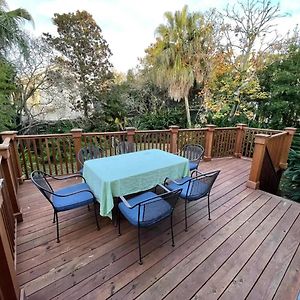 Beautiful Aububon Park Uptown Home New Orleans Exterior photo