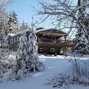 Entre Monts Et Lac - Lac - Lake Front & Volleyball Villa Saint Adolphe D'Howard Exterior photo