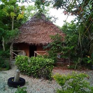 Shadrack Backpackers Hotel Nungwi Exterior photo