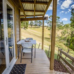 Private Cabin Close To The City Centre Bed and Breakfast Whangarei Exterior photo