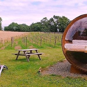 Tonneau Bulle Insolite, Vue Sur Vignoble Hotel Pouldergat Exterior photo