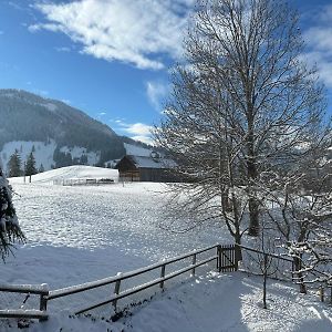 Gstaad Gem: Best Alps View Serene Pond Villa Exterior photo