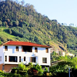 Trial Based Hotel Coonoor Exterior photo