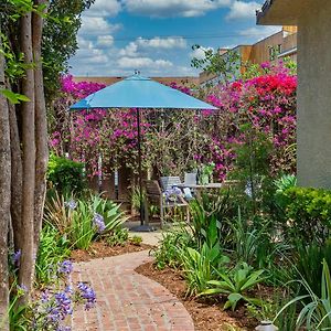 Venice Beach Gated Tropical Oasis Villa Los Angeles Exterior photo