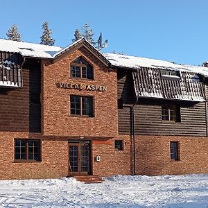 Villa Aspen Demänovská Dolina Exterior photo