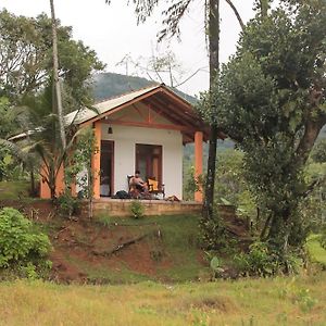 Forest & Fields Sinharaja Bed and Breakfast Deniyaya Exterior photo