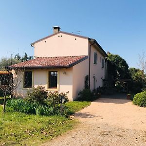 Una Casa Di Campagna Villa Dossobuono Exterior photo