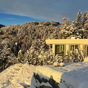 Chalet Tschattlhof Dolomites Villa Cavalese Exterior photo