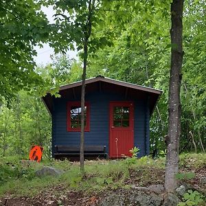 Shelley'S Bay Bunkie #2 Villa Sharbot Lake Exterior photo