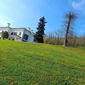 White House Appartement Nizza Monferrato Exterior photo