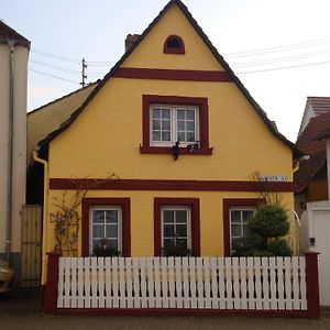 Wohnung Margarita In Neustadt an der Weinstraße Exterior photo