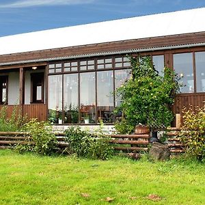 Raven's Bed Bed and Breakfast Keflavík Exterior photo