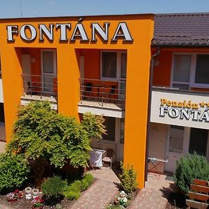 Penzion Fontana Hotel Podhájska Exterior photo