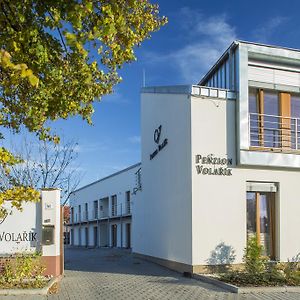 Penzion Volarik Hotel Dolní Dunajovice Exterior photo