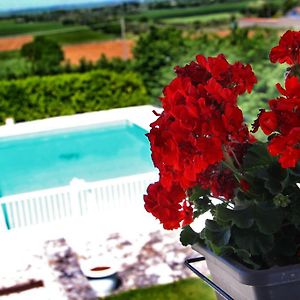 Miramurgia B&B Gravina in Puglia Exterior photo