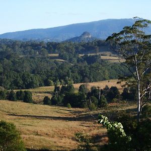 Grey Gum Lodge Nimbin Exterior photo