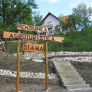 Pensiunea Agroturistica Diana Hotel Măgura Exterior photo