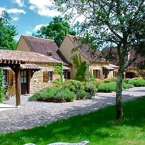 Le Domaine De La Millasserie Bed and Breakfast Mauzac-et-Grand-Castang Exterior photo