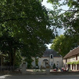 Chateau De La Fregeoliere Bed and Breakfast Theillay Exterior photo