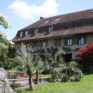 Ofenhaus Villa Murten Exterior photo