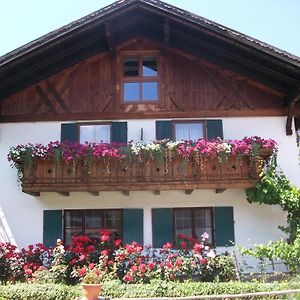 Haus Alpenrose Appartement Schwangau Exterior photo