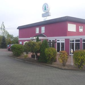 Hotel Zur Fichtenbreite -Garni- Coswig  Exterior photo