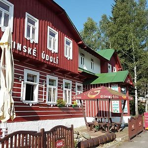 Pension Martinske Udoli Hotel Kořenov Exterior photo