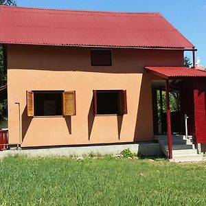 Villa Alvik Geoagiu Băi Exterior photo