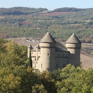 Chateau De Lugagnac Hotel Rivière-sur-Tarn Exterior photo