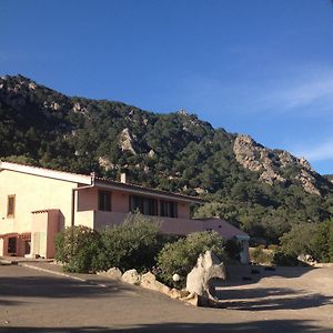 Agriturismo Monte Pino Pension Telti Exterior photo