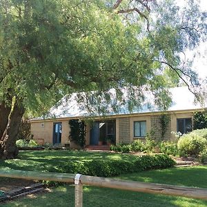 The Cottage At Riverside Farm Lyndoch Exterior photo