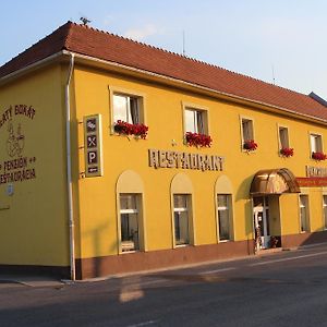 Penzion Zlaty Dukat Hotel Zvolenská Slatina Exterior photo