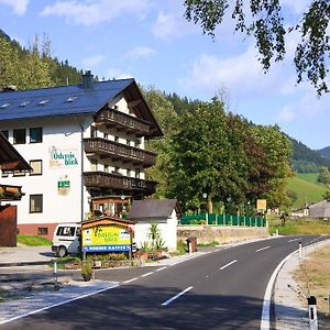 Gasthof - Pension Oedsteinblick Hotel Johnsbach Exterior photo