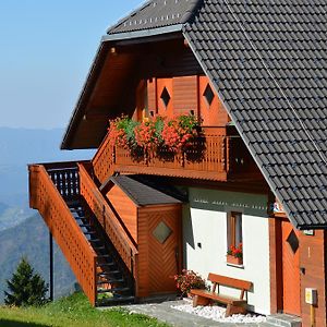 Apartmaji Srnca Appartement Cerkno Exterior photo