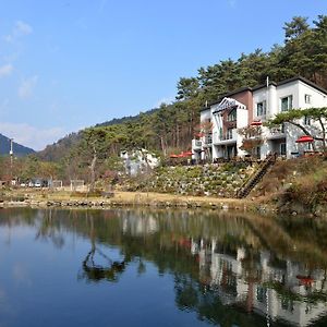 Heimish Pension Villa Hoengseong Exterior photo