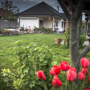 Big Garden House Villa Dunajská Streda Exterior photo