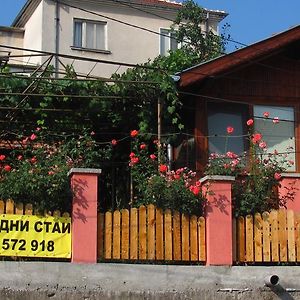 Guesthouse Elena Belogradtsjik Exterior photo