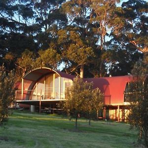 Tennessee Hill Chalets Lowlands Exterior photo