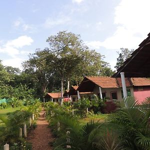 Dandeli - Jungle Nest Appartement Sangave Exterior photo