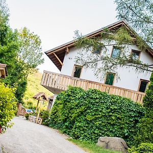 Oeko-Park Panzio, Kemping Es Rendezvenykoezpont Hotel Szarvaskő Exterior photo